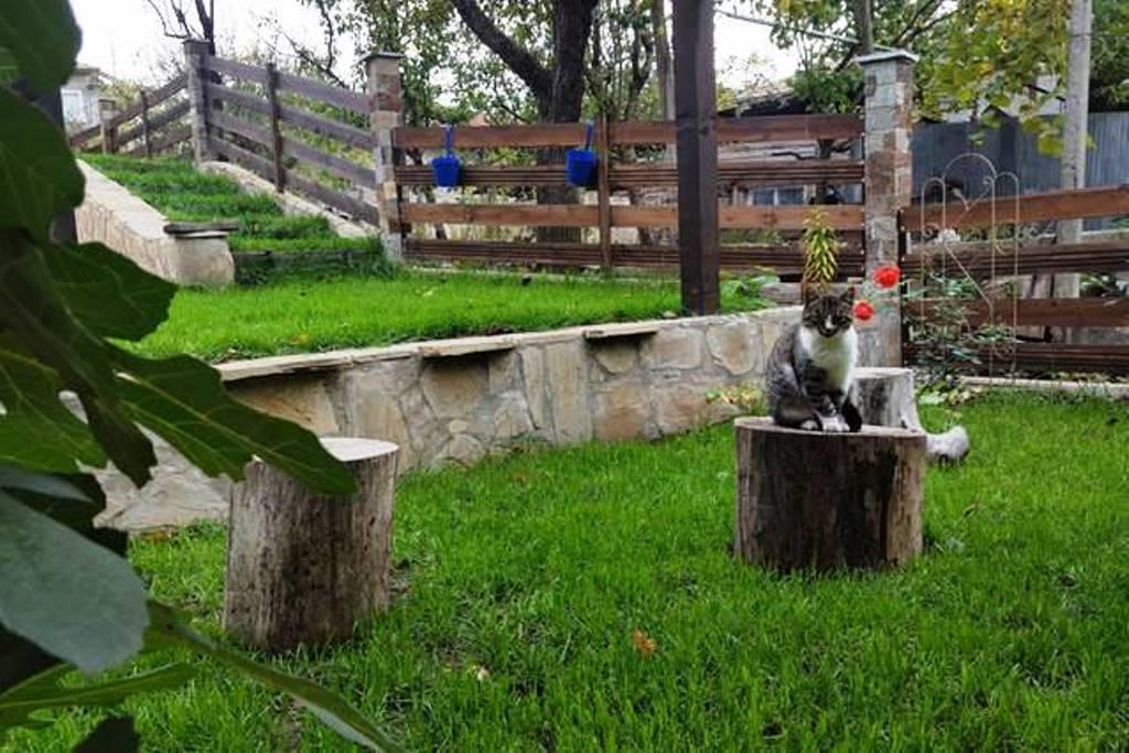 The Wild Fig Hotel Шумен Екстериор снимка