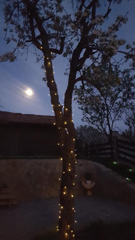 The Wild Fig Hotel Шумен Екстериор снимка
